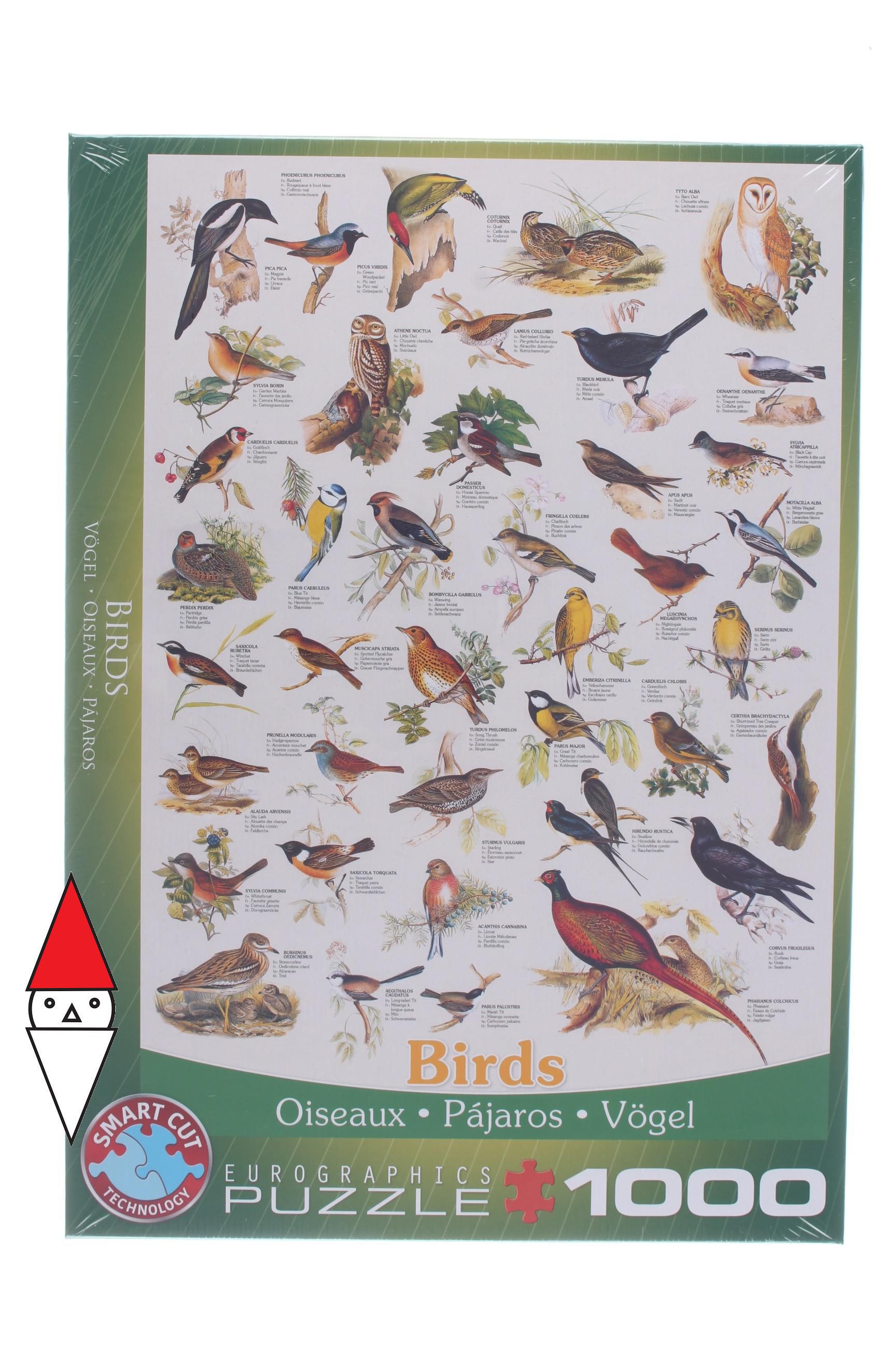 Puzzle Animali Eurographics Uccelli Affiche Sugli Uccelli 1000 Pz Ebay