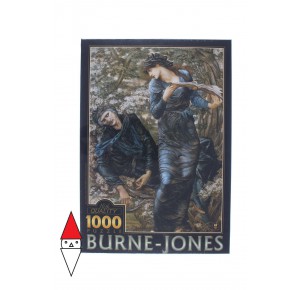DTOYS, , , PUZZLE ARTE DTOYS PITTURA 1800 E. BURNE-JONES THE BEGUILING OF MERLIN 1000 PZ