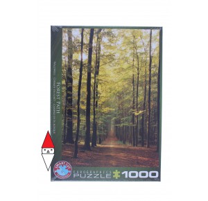 EUROGRAPHICS, , , PUZZLE PAESAGGI EUROGRAPHICS BOSCHI E FORESTE FOREST PATH 1000 PZ