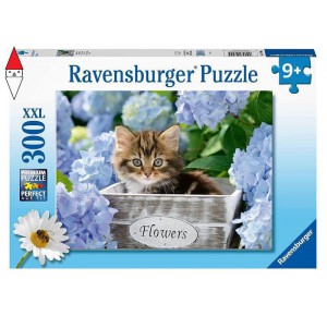 RAVENSBURGER, , , PUZZLE RAVENSBURGER PUZZLE 300 PZ PICCOLO GATTINO