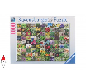 RAVENSBURGER 15991