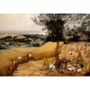 GRAFIKA, Grafika-00716, 3663384007163, PUZZLE ARTE GRAFIKA BRUEGHEL PIETER I MIETITORI 1565 PITTURA FIAMMINGA 1000 PZ