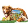 SUNSOUT, Sunsout-96074, 796780960749, PUZZLE SAGOMATO SUNSOUT CANI LORI SCHORY DOG PARK 1000 PZ