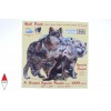 SUNSOUT, Sunsout-95739, 796780957398, PUZZLE SAGOMATO SUNSOUT LUPI WOLF PACK 1000 PZ