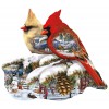 SUNSOUT, Sunsout-97189, 796780971899, PUZZLE SAGOMATO SUNSOUT STAGIONI INVERNO UCCELLI WINTER CARDINALS 800 PZ