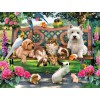 SUNSOUT, Sunsout-54942, 796780549425, PUZZLE ANIMALI SUNSOUT CANI  PETS IN THE PARK 500PZ