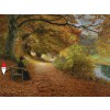 DTOYS, Dtoys-72795-BR02-(75093), 5947502875093, PUZZLE ARTE DTOYS BRENDEKILDE A WOODED PATH IN AUTUMN 1902 PITTURA 1800 1000 PZ
