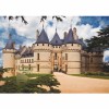 DTOYS, DToys-67562-FC02, 5947502869542, PUZZLE EDIFICI DTOYS CASTELLI DI FRANCIA CASTELLO DI CHAUMONT CASTELLI 1000 PZ