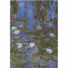 DTOYS, DToys-67548-CM06-(69641), 5947502869641, PUZZLE ARTE DTOYS MONET CLAUDE NINFEE IMPRESSIONISMO 1000 PZ