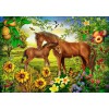 BLUEBIRD, BLUEBIRD-PUZZLE-70186, 3663384701863, PUZZLE ANIMALI BLUEBIRD CAVALLI SPIRIT OF SUMMER 1000 PZ