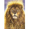 BLUEBIRD, BLUEBIRD-PUZZLE-70072, 3663384700729, PUZZLE ANIMALI BLUEBIRD LEONI LEO 1000 PZ
