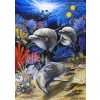 BLUEBIRD, BLUEBIRD-PUZZLE-70095, 3663384700958, PUZZLE ANIMALI BLUEBIRD DELFINI IN SEARCH OF MISCHIEF 1000 PZ