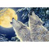BLUEBIRD, BLUEBIRD-PUZZLE-70071, 3663384700712, PUZZLE ANIMALI BLUEBIRD LUPI MOONLIGHT 1000 PZ