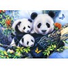 BLUEBIRD, BLUEBIRD-PUZZLE-70079, 3663384700798, PUZZLE ANIMALI BLUEBIRD PANDA PANDA FAMILY 1000 PZ