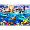 BLUEBIRD, BLUEBIRD-PUZZLE-70288, 3663384702884, PUZZLE ANIMALI BLUEBIRD ANIMALI VARI OCEANS OF LIFE 1000 PZ