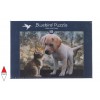 BLUEBIRD, BLUEBIRD-PUZZLE-70004, 3663384700040, PUZZLE ANIMALI BLUEBIRD GATTI KITTEN AND PUPPY 500 PZ