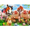 BLUEBIRD, BLUEBIRD-PUZZLE-70285, 3663384702853, PUZZLE ANIMALI BLUEBIRD ANIMALI VARI PETTING FARM 500 PZ