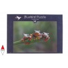 BLUEBIRD, BLUEBIRD-PUZZLE-70294, 3663384702945, PUZZLE ANIMALI BLUEBIRD RANE FRIENDLY FROGS 500 PZ