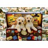 BLUEBIRD, 70237-P, 3663384702372, PUZZLE ANIMALI BLUEBIRD CANI TWO TRAVEL PUPPIES 1000 PZ