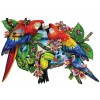 SUNSOUT, SUNSOUT-95278, 796780952782, PUZZLE SAGOMATO SUNSOUT PAPPAGALLI LORI SCHORY - PARROTS IN PARADISE 1000 PZ