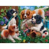 SUNSOUT, SUNSOUT-42946, 796780429468, PUZZLE ANIMALI SUNSOUT CANI PUPS IN THE GARDEN 1000 PZ