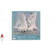 SUNSOUT, SUNSOUT-21852, 796780218529, PUZZLE ANIMALI SUNSOUT TIGRI COLLIN BOGLE - SHELTERED 550 PZ