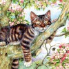 SUNSOUT, SUNSOUT-50423, 796780504233, PUZZLE ANIMALI SUNSOUT GATTI DEBBIE COOK - SLEEPY CAT 500 PZ