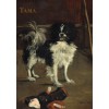 GRAFIKA, GRAFIKA-01746, 3663384017469, PUZZLE ARTE GRAFIKA IMPRESSIONISMO MANET TAMA LE CHIEN JAPONAIS 1875 1000 PZ