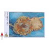 GRAFIKA, GRAFIKA-00866, 3663384008665, PUZZLE ARTE GRAFIKA IMPRESSIONISMO VAN GOGH VINCENT TOURNESOLS 1887 1000 PZ