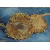 GRAFIKA, GRAFIKA-00866, 3663384008665, PUZZLE ARTE GRAFIKA IMPRESSIONISMO VAN GOGH VINCENT TOURNESOLS 1887 1000 PZ