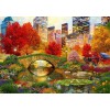 BLUEBIRD, 70256-P, 3663384702563, PUZZLE PAESAGGI BLUEBIRD CITTA CENTRAL PARK NYC 4000 PZ