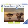 RAVENSBURGER, 15159, 4005556151592, PUZZLE ANIMALI RAVENSBURGER ELEFANTI ELEFANTE DEL MASAI MARA 1000 PZ