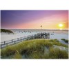RAVENSBURGER, 19877, 4005556198771, PUZZLE PAESAGGI RAVENSBURGER MARE E OCEANO TRAMONTO SU AMRUM 1000 PZ