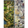 RAVENSBURGER, 16254, 4005556162543, PUZZLE PAESAGGI RAVENSBURGER CITTA CITTA DIVISA 1500 PZ