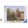 RAVENSBURGER, 15160, 4005556151608, PUZZLE ANIMALI RAVENSBURGER LEONI RE DEI LEONI 1000 PZ