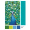 CLEMENTONI, 39495, 8005125394951, PUZZLE TEMATICO CLEMENTONI COLORI PANTONE TURCHESE TURQUOISE PEACOCK 1000 PZ