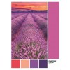 CLEMENTONI, 39493, 8005125394937, PUZZLE TEMATICO CLEMENTONI COLORI PANTONE VIOLA LAVENDER SUNSET 1000 PZ