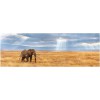 CLEMENTONI, 39484, 8005125394845, PUZZLE ANIMALI CLEMENTONI PANORAMA LOST 1000 PZ