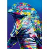 BLUEBIRD, 70302-P, 3663384703027, PUZZLE ANIMALI BLUEBIRD DELFINI DOLPHIN 1000 PZ