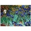 EUROGRAPHICS, 6000-4364, 628136643641, PUZZLE ARTE EUROGRAPHICS IMPRESSIONISMO VAN GOGH IRIS 1000 PZ