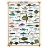 EUROGRAPHICS, 6000-0313, 628136603133, PUZZLE ANIMALI EUROGRAPHICS PESCI PESCI 1000 PZ