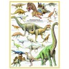 EUROGRAPHICS, 6000-0099, 628136600996, PUZZLE ANIMALI EUROGRAPHICS DINOSAURI I DINOSAURI PERIODO GIURASSICO 1000 PZ