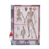 EUROGRAPHICS, 6000-2014, 628136620147, PUZZLE TEMATICO EUROGRAPHICS ANATOMIA LO SCHELETRO 1000 PZ