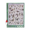 EUROGRAPHICS, 6000-0316, 628136603164, PUZZLE ANIMALI EUROGRAPHICS UCCELLI UCCELLI DA PREDA E GUFI 1000 PZ