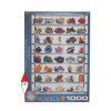 EUROGRAPHICS, 6000-2008, 628136620086, PUZZLE TEMATICO EUROGRAPHICS NATURA E SCIENZA I MINERALI DEL MONDO 1000 PZ