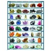 EUROGRAPHICS, 6000-2008, 628136620086, PUZZLE TEMATICO EUROGRAPHICS NATURA E SCIENZA I MINERALI DEL MONDO 1000 PZ
