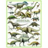 EUROGRAPHICS, 6000-0098, 628136600989, PUZZLE ANIMALI EUROGRAPHICS DINOSAURI I DINOSAURI PERIODO DEL CRETACEO 1000 PZ