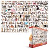 EUROGRAPHICS, 8220-0580, 628136205801, PUZZLE ANIMALI EUROGRAPHICS GATTI GATTI 2000 PZ