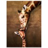 EUROGRAPHICS, , 628136063012, PUZZLE ANIMALI EUROGRAPHICS GIRAFFE IL BACIO DI MAMMA GIRAFFA 500 PZ XXL