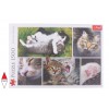 TREFL, 26145, 5900511261455, PUZZLE ANIMALI TREFL GATTI COLLAGE GATTI 1500 PZ